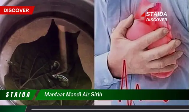 Temukan Manfaat Mandi Air Sirih Yang Jarang Diketahui