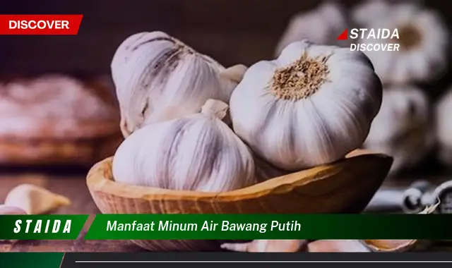 Temukan Manfaat Minum Air Bawang Putih yang Jarang Diketahui