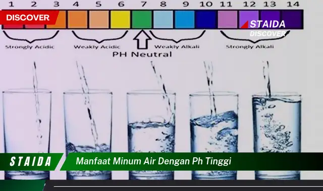 Temukan 7 Manfaat Minum Air Alkali yang Jarang Diketahui