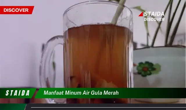 Temukan Manfaat Minum Air Gula Merah yang Jarang Diketahui