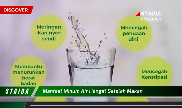 Temukan 7 Manfaat Minum Air Hangat Setelah Makan yang Jarang Diketahui