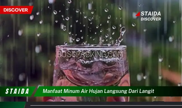 Temukan 7 Manfaat Minum Air Hujan Langsung yang Jarang Diketahui