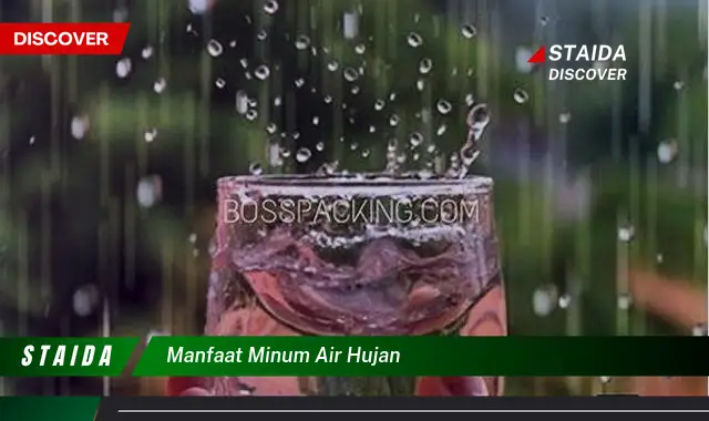 Temukan 7 Manfaat Minum Air Hujan yang Jarang Diketahui