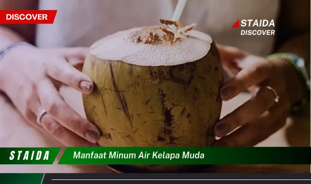 Temukan Rahasia Air Kelapa Muda yang Jarang Diketahui, Manfaatnya Tak Terkira!