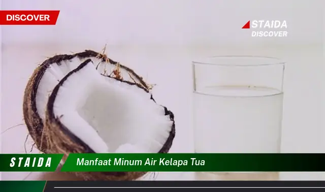 Temukan Khasiat Minum Air Kelapa Tua: Penemuan dan Wawasan yang Jarang Diketahui