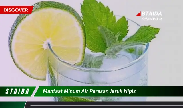 Temukan Rahasia Manfaat Minum Air Perasan Jeruk Nipis yang Jarang Diketahui