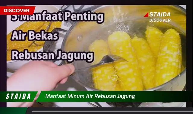 Temukan 7 Manfaat Air Rebusan Jagung yang Jarang Diketahui