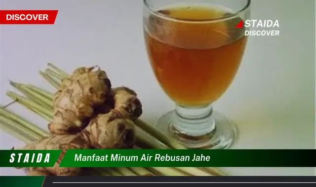 Temukan 7 Manfaat Minum Air Rebusan Jahe yang Jarang Diketahui!