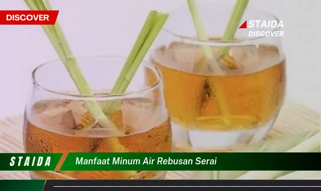 Temukan 7 Manfaat Minum Air Rebusan Serai yang Jarang Diketahui