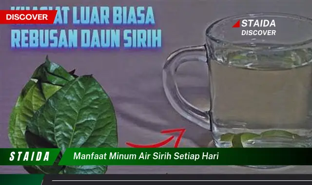 Temukan 7 Manfaat Minum Air Sirih Tiap Hari yang Jarang Diketahui