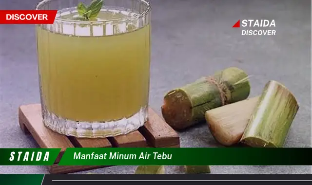 Temukan 7 Manfaat Minum Air Tebu yang Jarang Diketahui