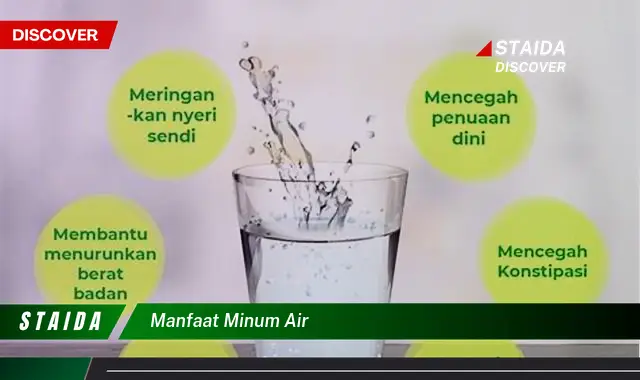Temukan 7 Manfaat Minum Air yang Jarang Diketahui