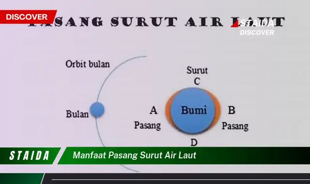 Temukan Rahasia Tersembunyi Pasang Surut Air Laut yang Jarang Diketahui