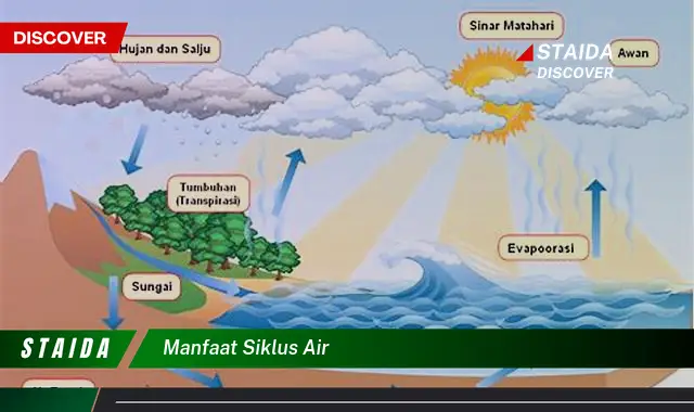 7 Manfaat Siklus Air yang Jarang Diketahui