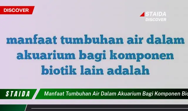 Temukan Keajaiban Tumbuhan Air: 7 Manfaat Penting untuk Kehidupan Akuarium