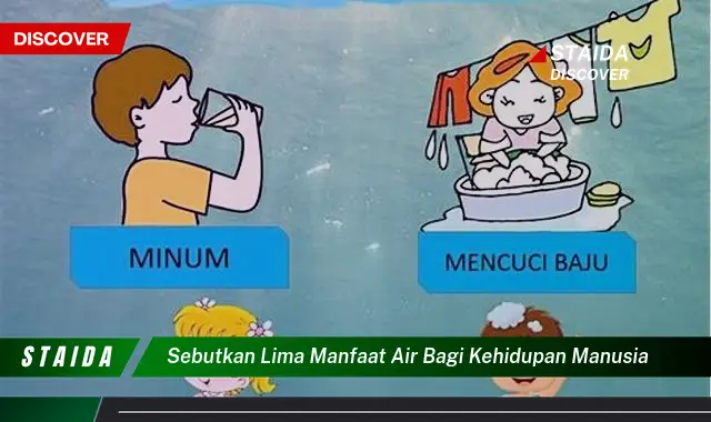 Temukan 5 Manfaat Air bagi Kehidupan Manusia yang Jarang Diketahui