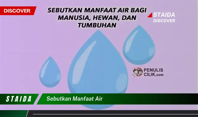 Temukan Manfaat Air yang Wajib Kamu Tahu