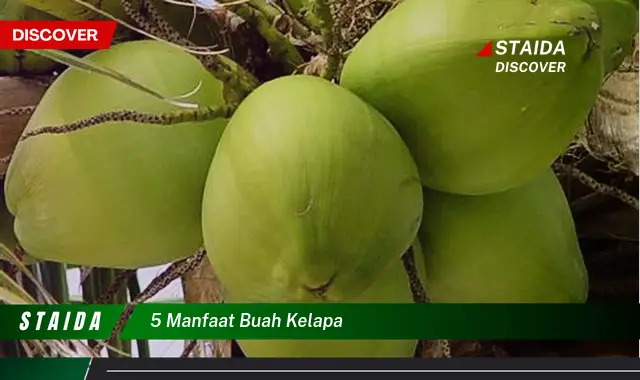 Temukan 5 Manfaat Buah Kelapa yang Jarang Diketahui