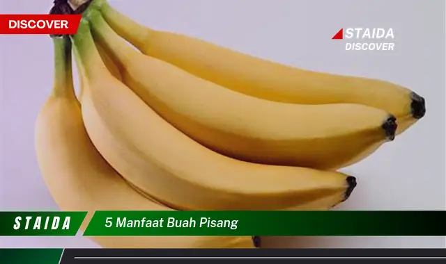 Temukan 5 Manfaat Buah Pisang yang Jarang Diketahui!