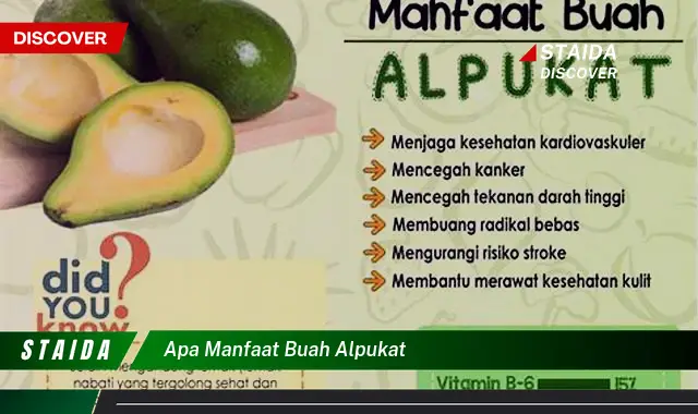 Temukan Manfaat Buah Alpukat yang Tak Terduga dan Jarang Diketahui