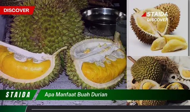 Temukan Manfaat Buah Durian yang Jarang Diketahui