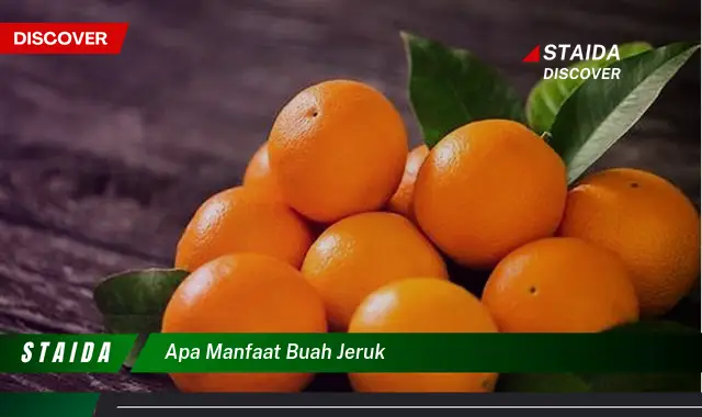 Temukan 7 Manfaat Buah Jeruk yang Belum Anda Ketahui