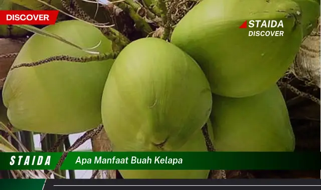 Temukan Manfaat Buah Kelapa yang Jarang Diketahui