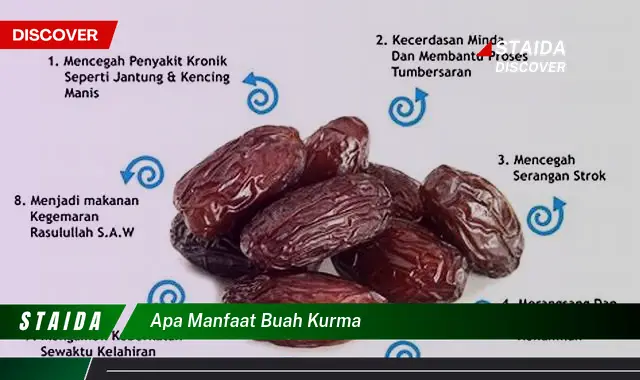 Temukan Rahasia Manfaat Buah Kurma yang Jarang Diketahui