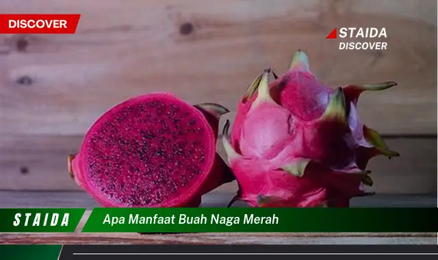 Ketahui 10 Manfaat Buah Naga Merah untuk Kesehatan Tubuh Anda