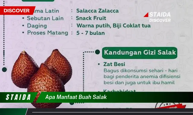 Temukan 7 Manfaat Buah Salak yang Jarang Diketahui!