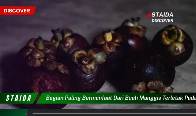 Temukan Manfaat Bagian Paling Bermanfaat dari Buah Manggis yang Jarang Diketahui!