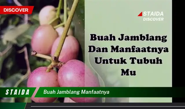 Ketahui 9 Manfaat Buah Jamblang untuk Kesehatan Anda