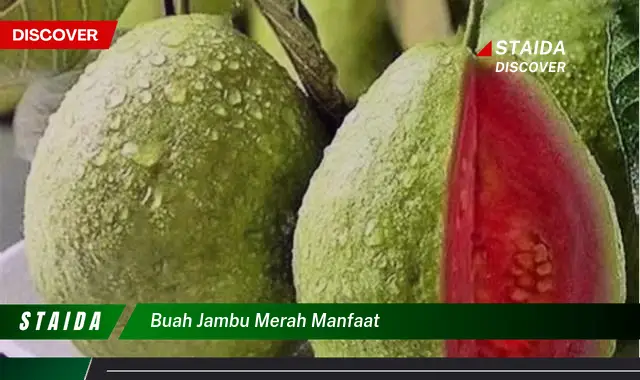 Ketahui 10 Manfaat Buah Jambu Merah untuk Kesehatan Anda