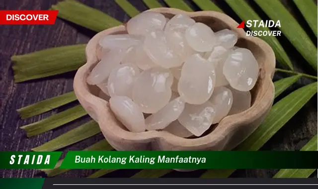 Ketahui 9 Manfaat Buah Kolang,Kaling untuk Kesehatan Anda