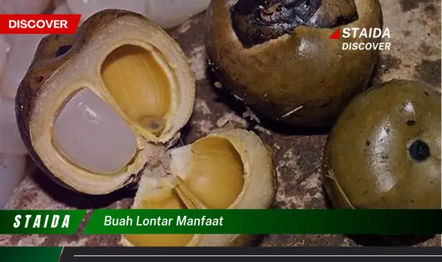 Temukan Manfaat Buah Lontar yang Jarang Diketahui