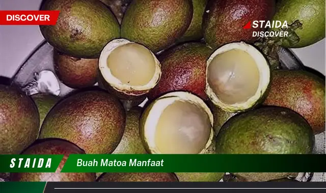 Temukan Manfaat Buah Matoa yang Menakjubkan, Jarang Diketahui!