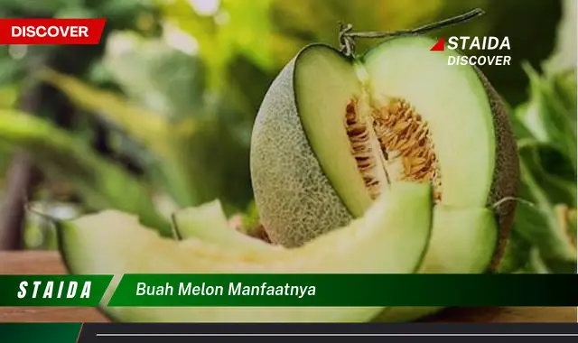 Temukan Manfaat Buah Melon yang Jarang Diketahui