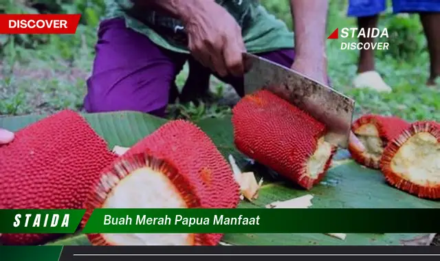 Manfaat Buah Merah Papua yang Jarang Diketahui