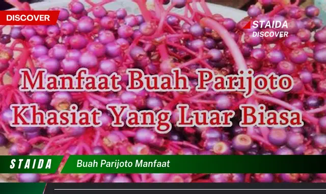 Ungkap Manfaat Buah Parijoto yang Jarang Diketahui