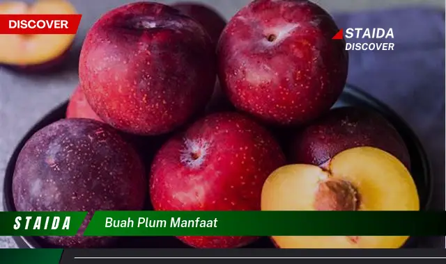 Temukan Khasiat Buah Plum untuk Kesehatan yang Jarang Diketahui