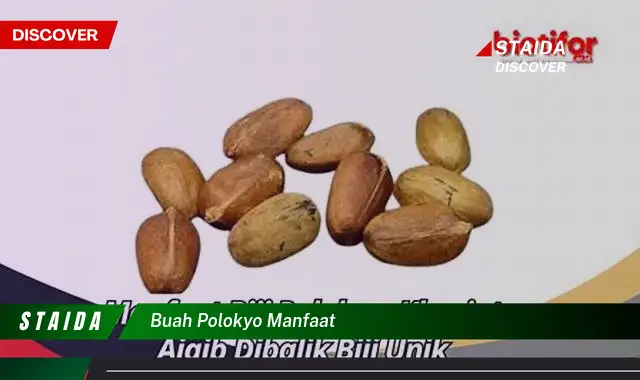 Ketahui 10 Manfaat Buah Polokyo untuk Kesehatan Anda