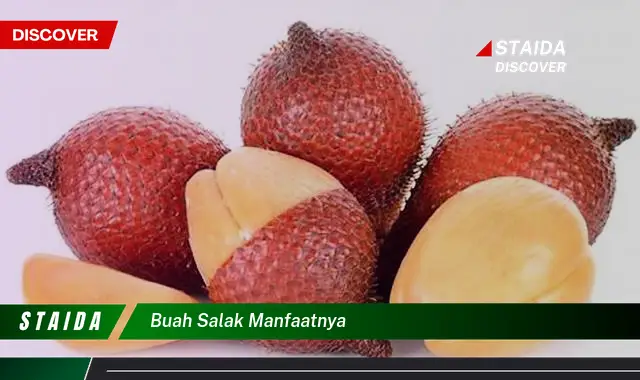 Temukan 7 Manfaat Buah Salak bagi Kesehatan