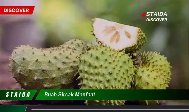 Manfaat Buah Sirsak: Penemuan dan Rahasia yang Perlu Anda Ketahui