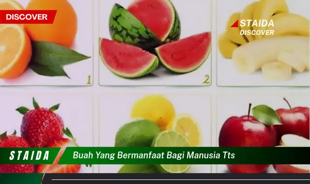 Temukan Manfaat Buah untuk Tubuh yang Jarang Diketahui