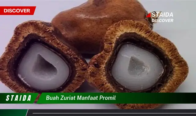 Ketahui 8 Manfaat Buah Zuriat untuk Promil, Tips dan Cara Konsumsi