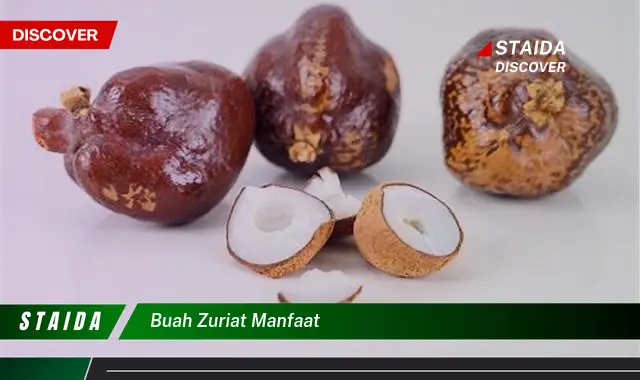 Temukan Manfaat Buah Zuriat yang Jarang Diketahui