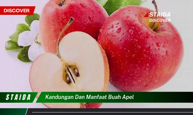 Ketahui Kandungan dan Manfaat Buah Apel untuk Kesehatan Anda Secara Lengkap