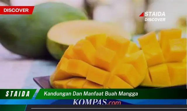 Ungkap Manfaat Buah Mangga yang Kamu Jarang Tahu