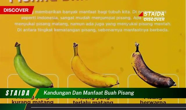 Ketahui Kandungan dan Manfaat Buah Pisang untuk Kesehatan Tubuh Anda