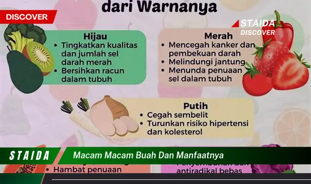 Ketahui 10 Manfaat Macam Macam Buah dan Manfaatnya untuk Kesehatan Anda